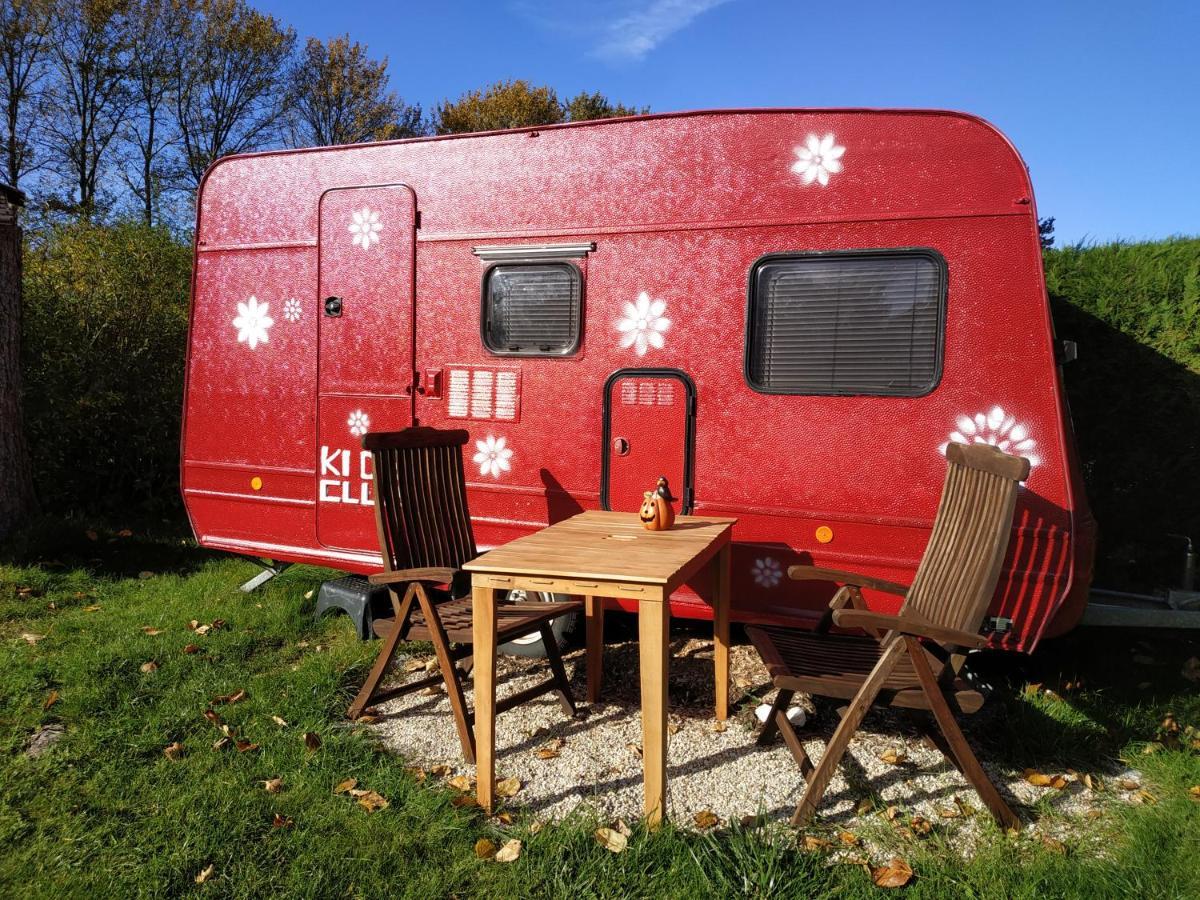 Projekt Ferienhaus Am See Inkl. W-Lan, Betwaesche Und Netflix Jurgenshagen Buitenkant foto